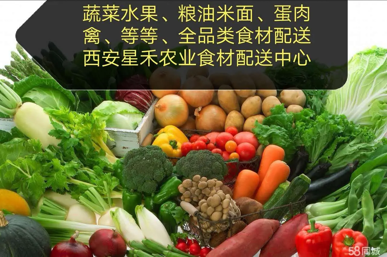 食域食品网
